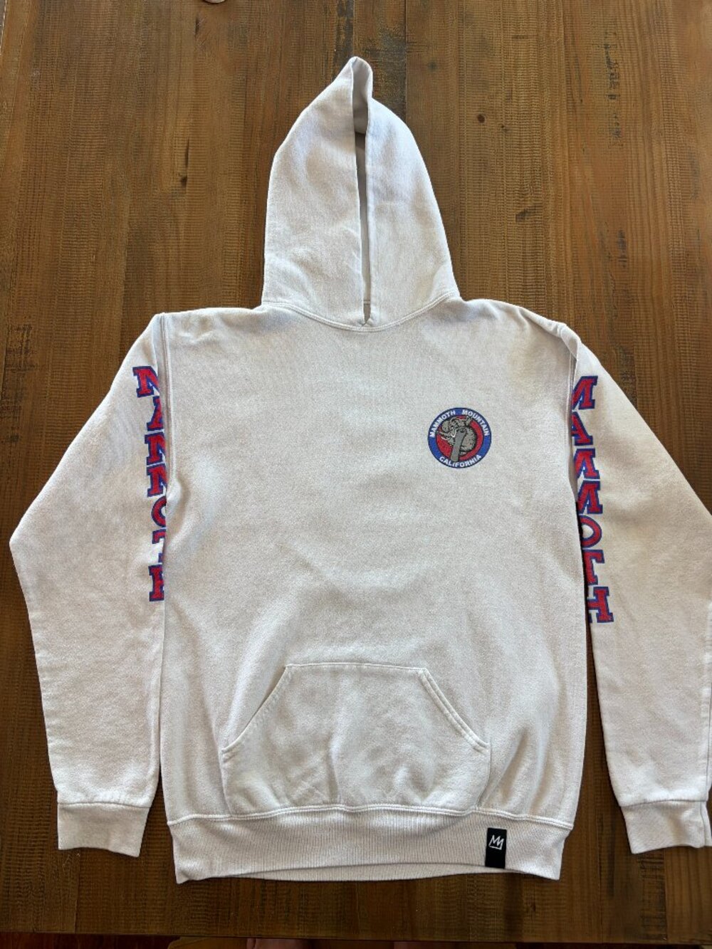 Mammoth Mountain Hoodie - Kids XL